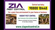 Zia Pest Control | Rodent control | 